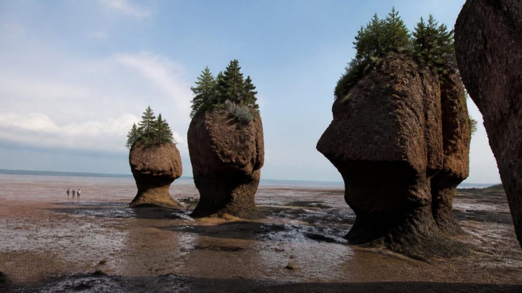 Hopewell Rocks, Fundy Körfezi